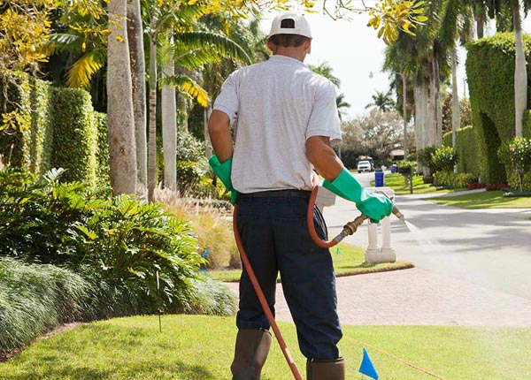 About Oak Park MI Pest Control